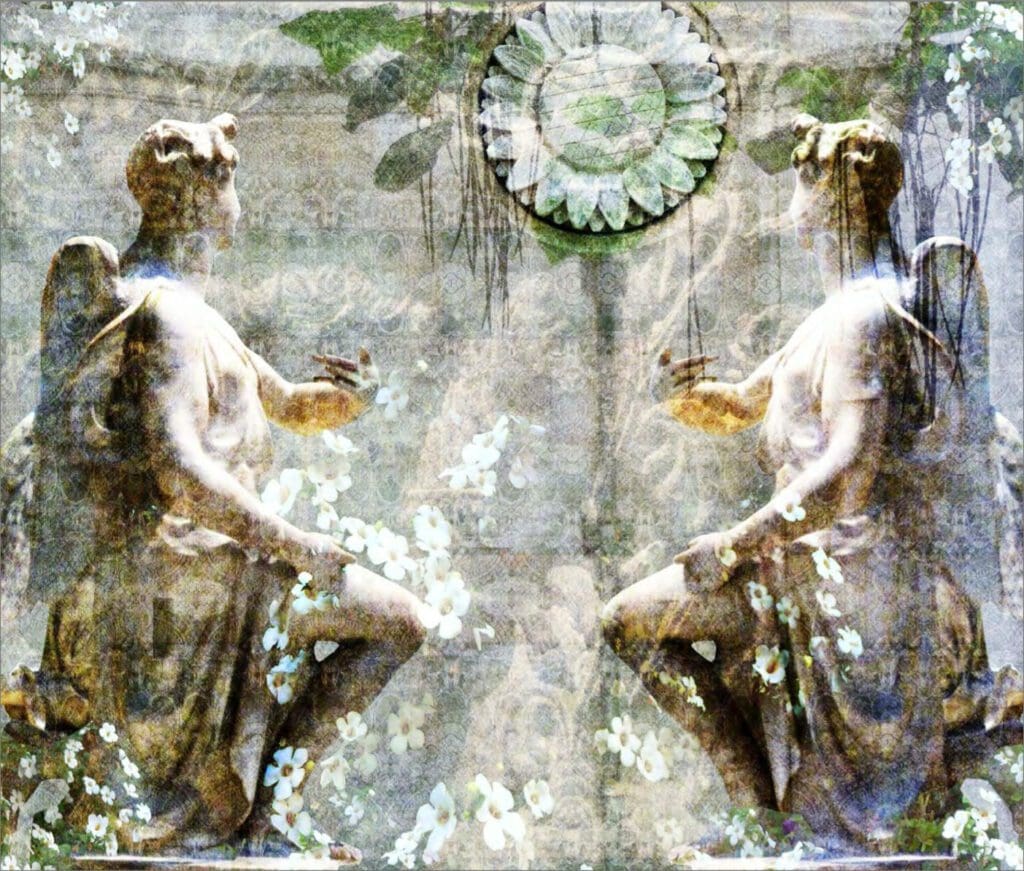 Fond d'Ecran
